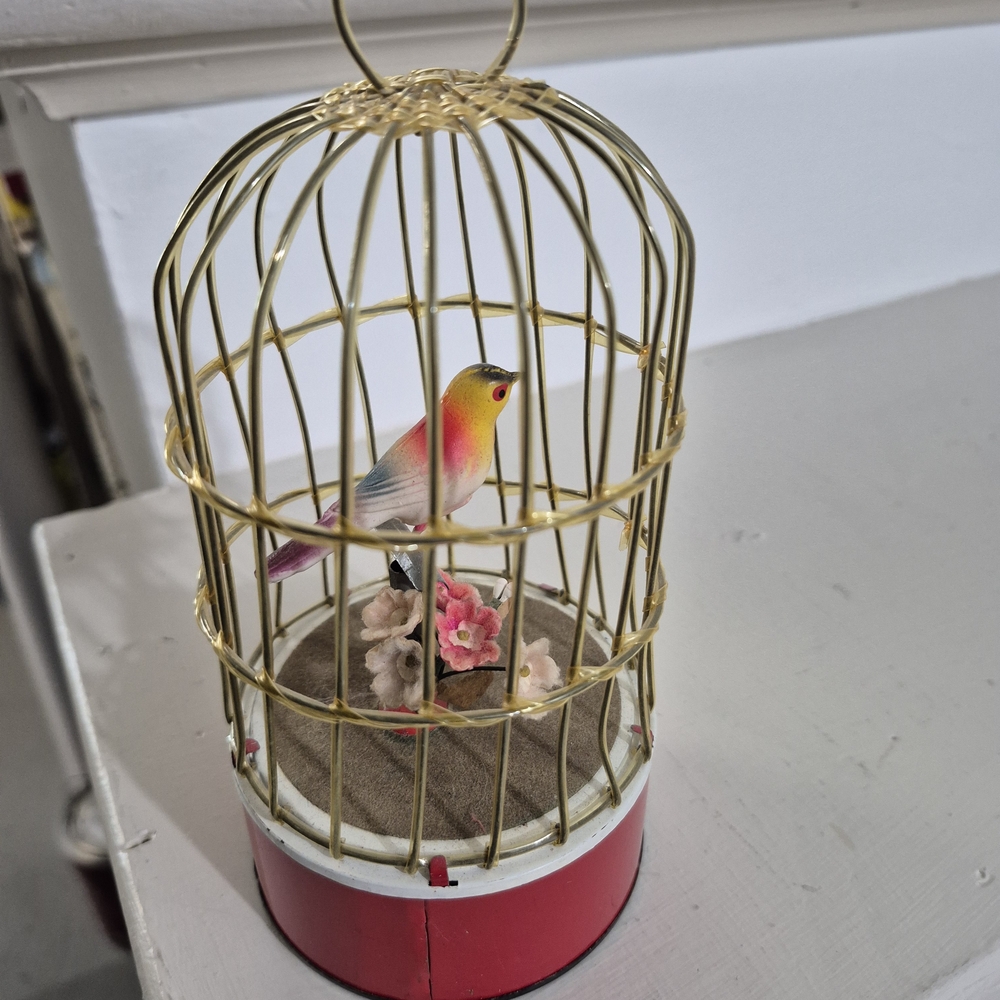 Colorful Bird in Cage Decor